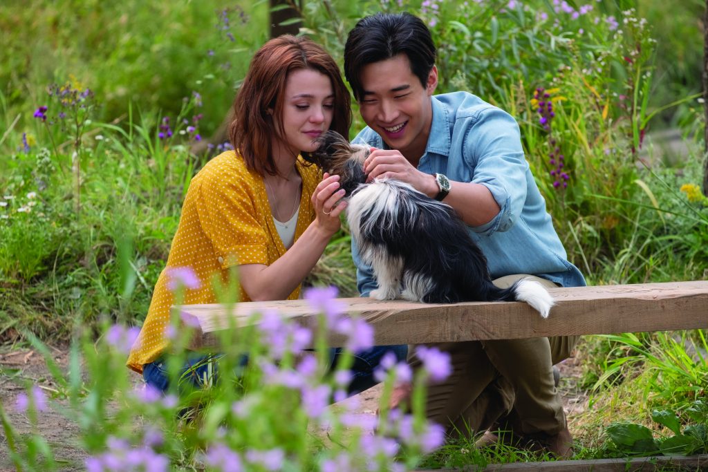 (from left) – CJ (Kathryn Prescott), Bailey as Yorkshire terrier Max (back to camera, voiced by Josh Gad) and Trent (Henry Lau) in "A Dog's Journey," directed by Gail Mancuso.