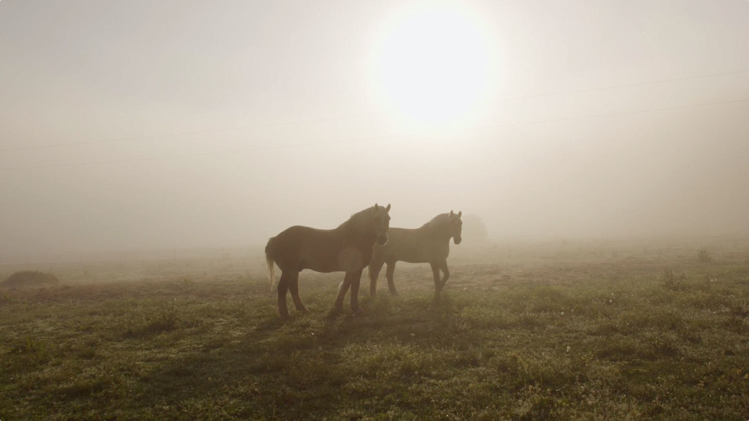 Look & See celebrates Wendell Berry