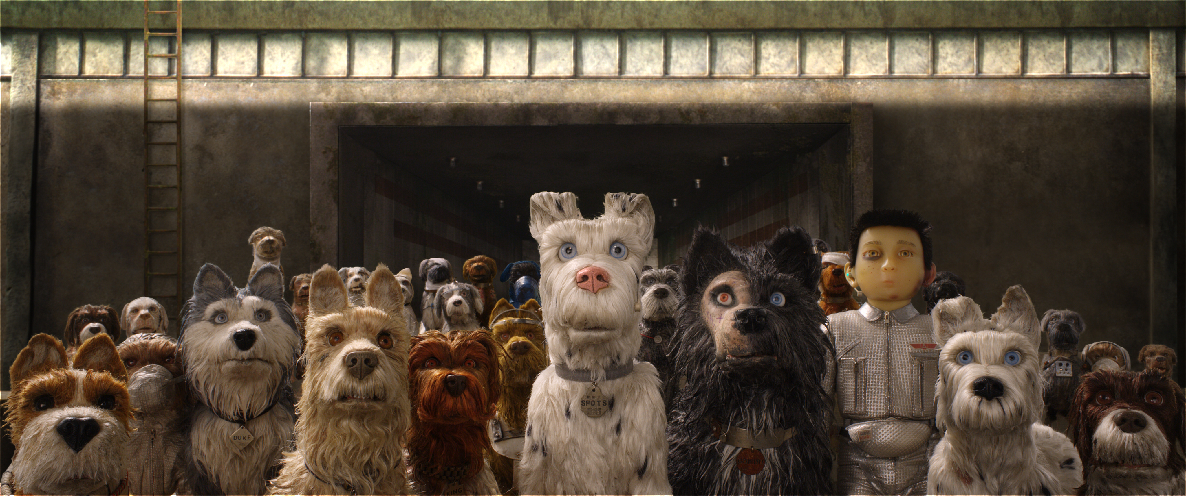 Isle of Dogs: Wes Anderson Does It Again