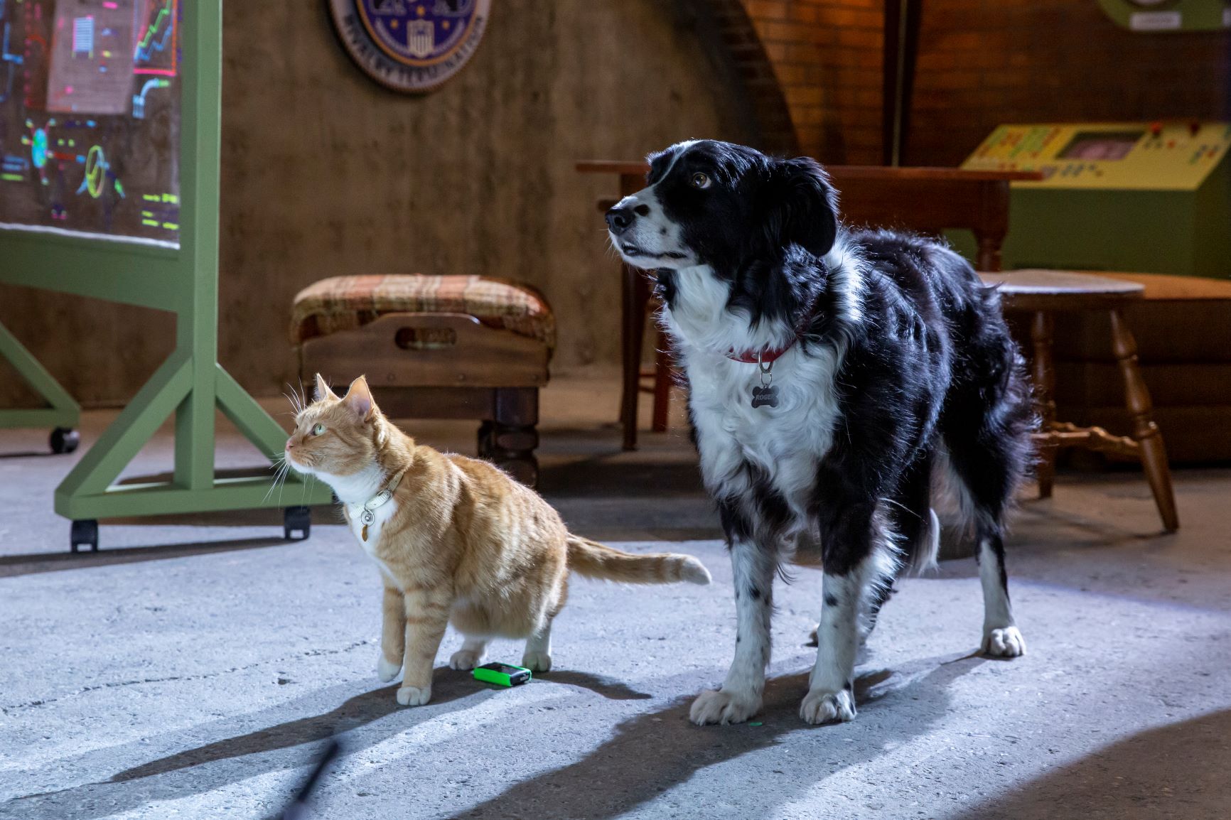 Cats & Dogs 3: Paws Unite! Now on Blu-ray