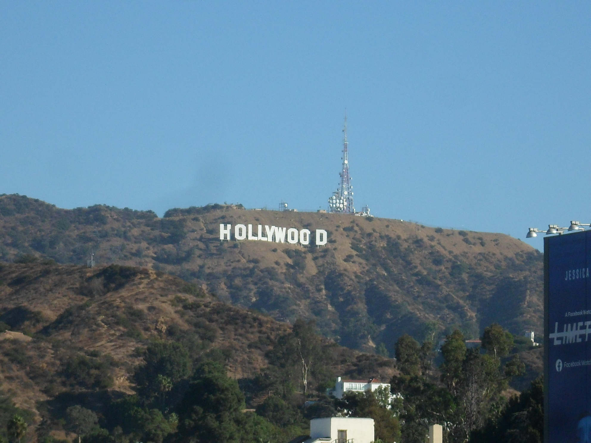 Hollywood, Substack