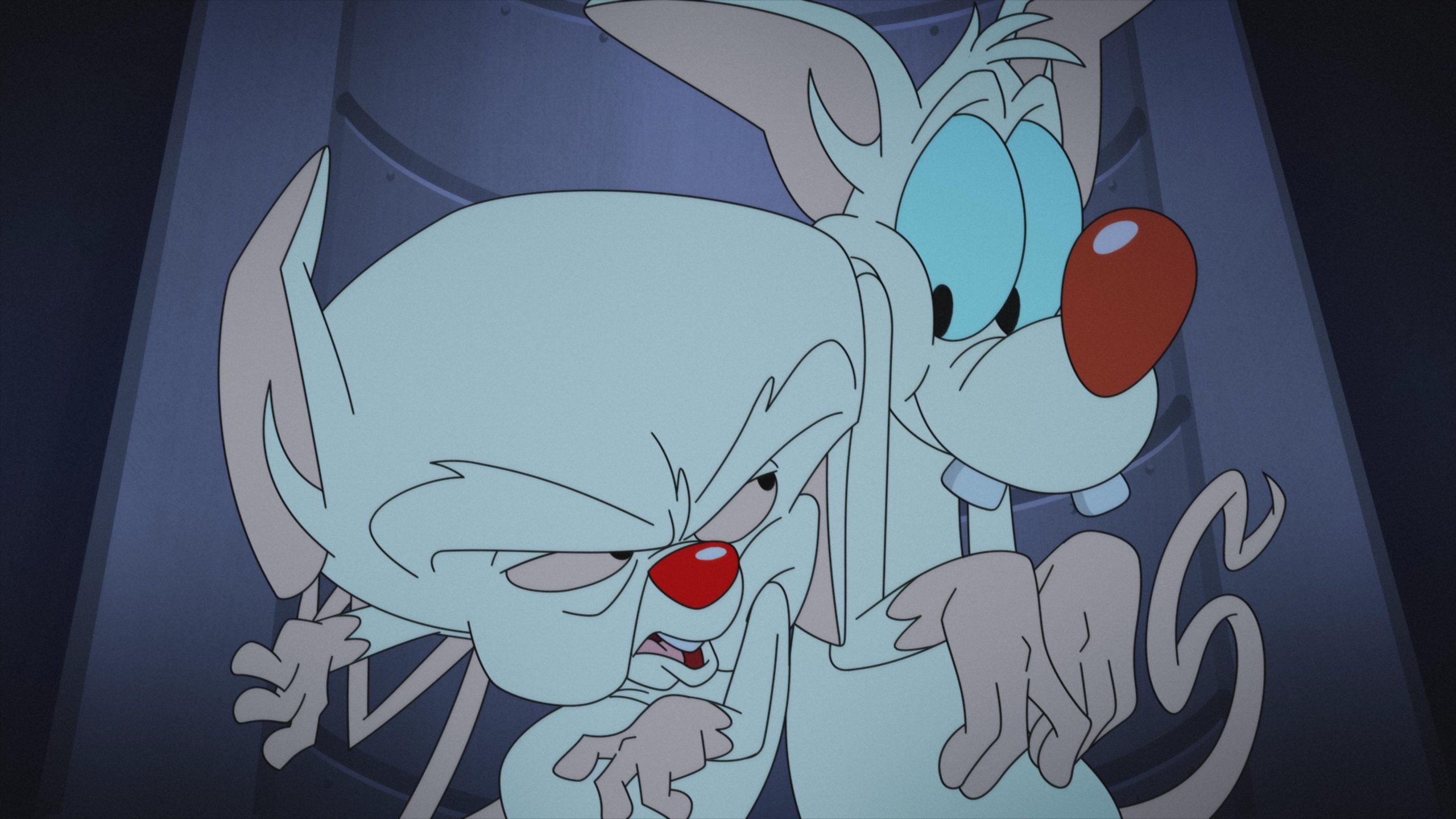 Pinky and the Brain in Animaniacs