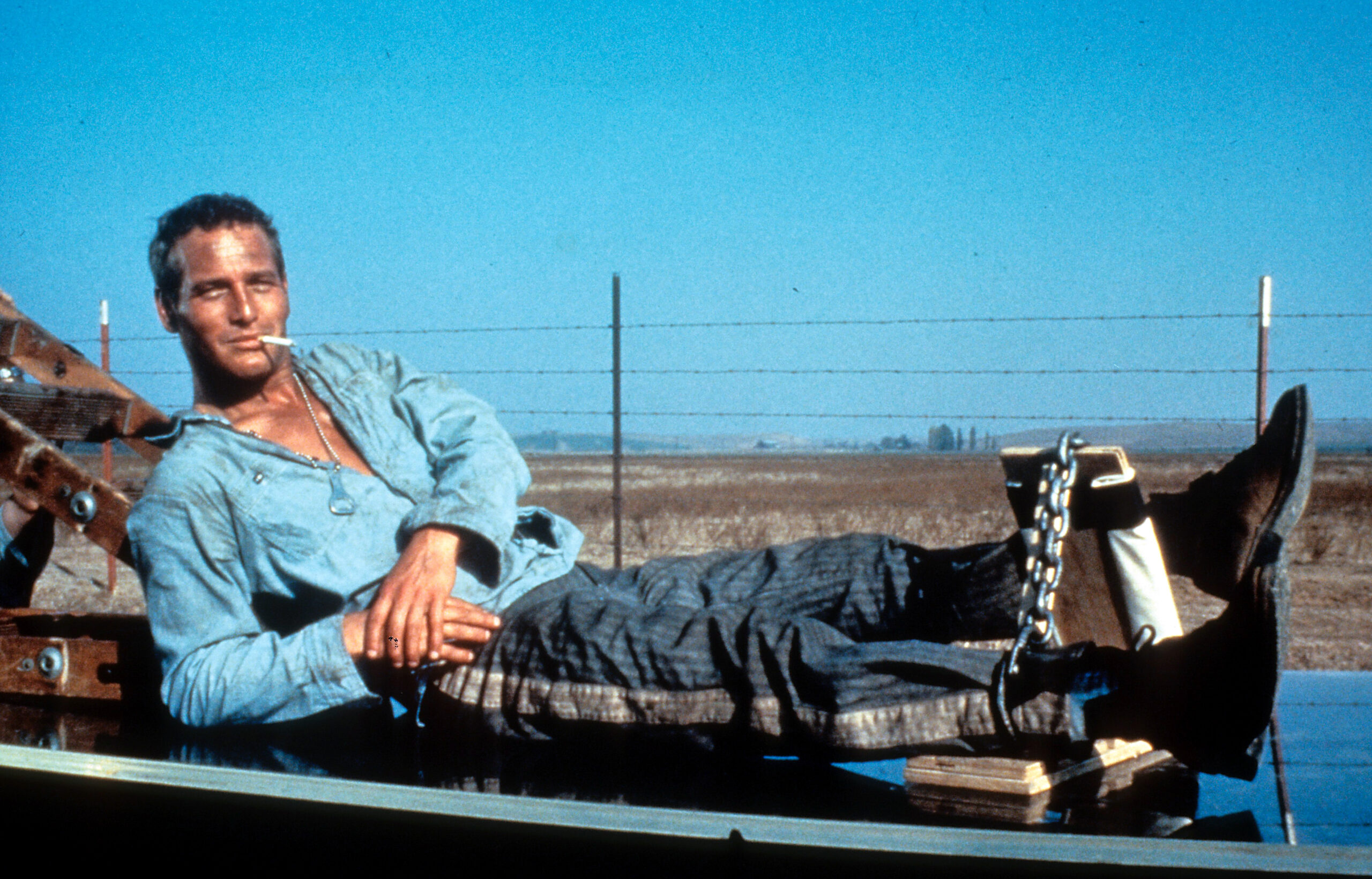 Cool Hand Luke Arrives On 4K Ultra HD