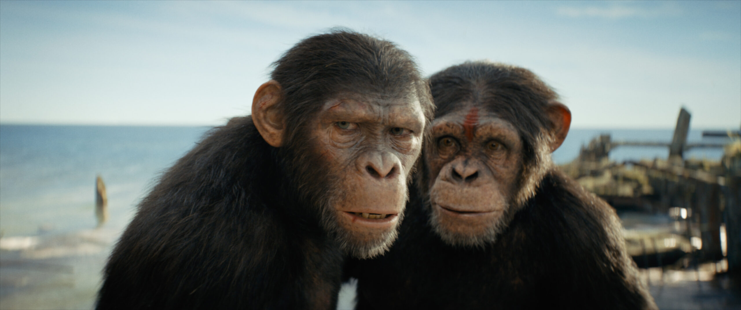 (L-R) Noa (played by Owen Teague) and Dar (played by Sara Wiseman) in 20th Century Studios' KINGDOM OF THE PLANET OF THE APES.