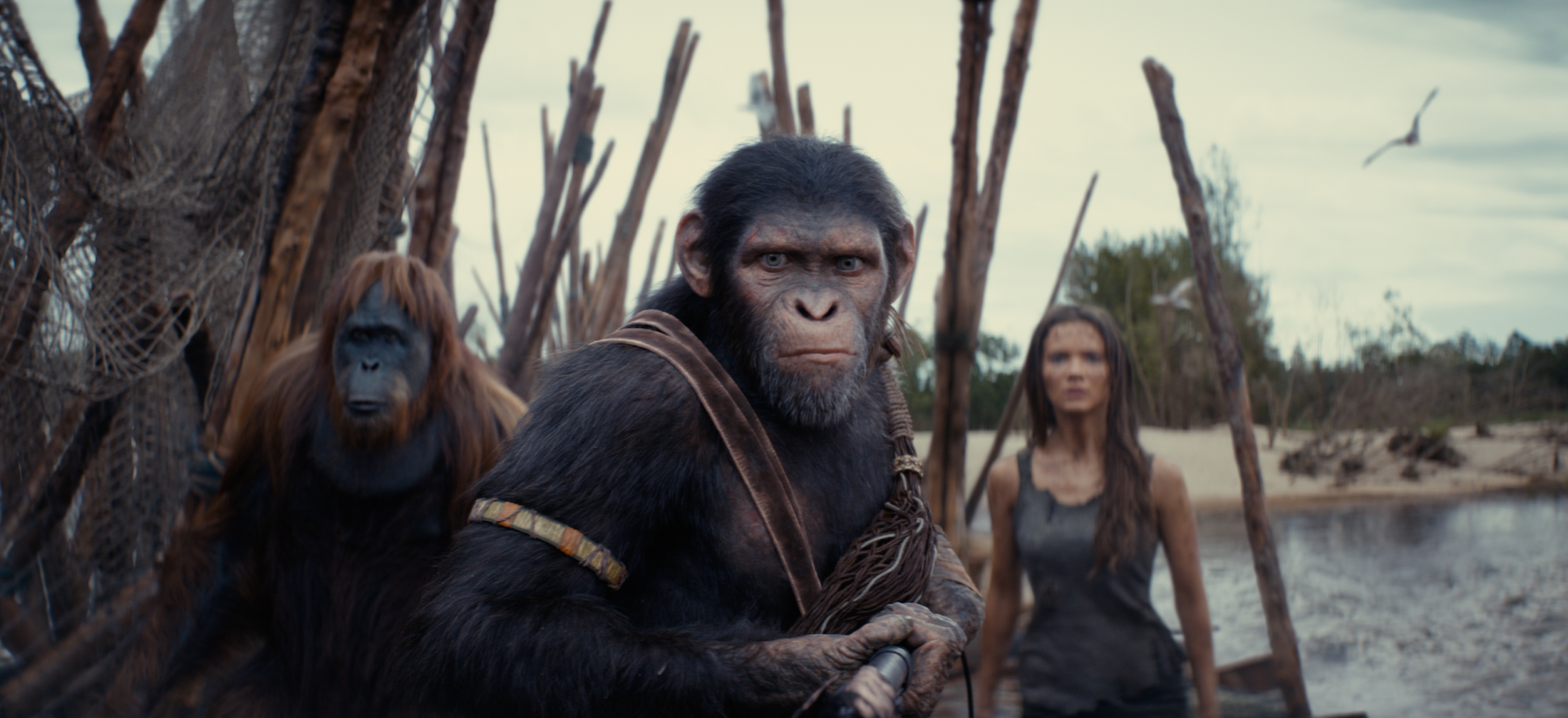 (L-R): Raka (played by Peter Macon), Noa (played by Owen Teague) , and Freya Allan as Nova in 20th Century Studios' KINGDOM OF THE PLANET OF THE APES. Photo courtesy of 20th Century Studios.