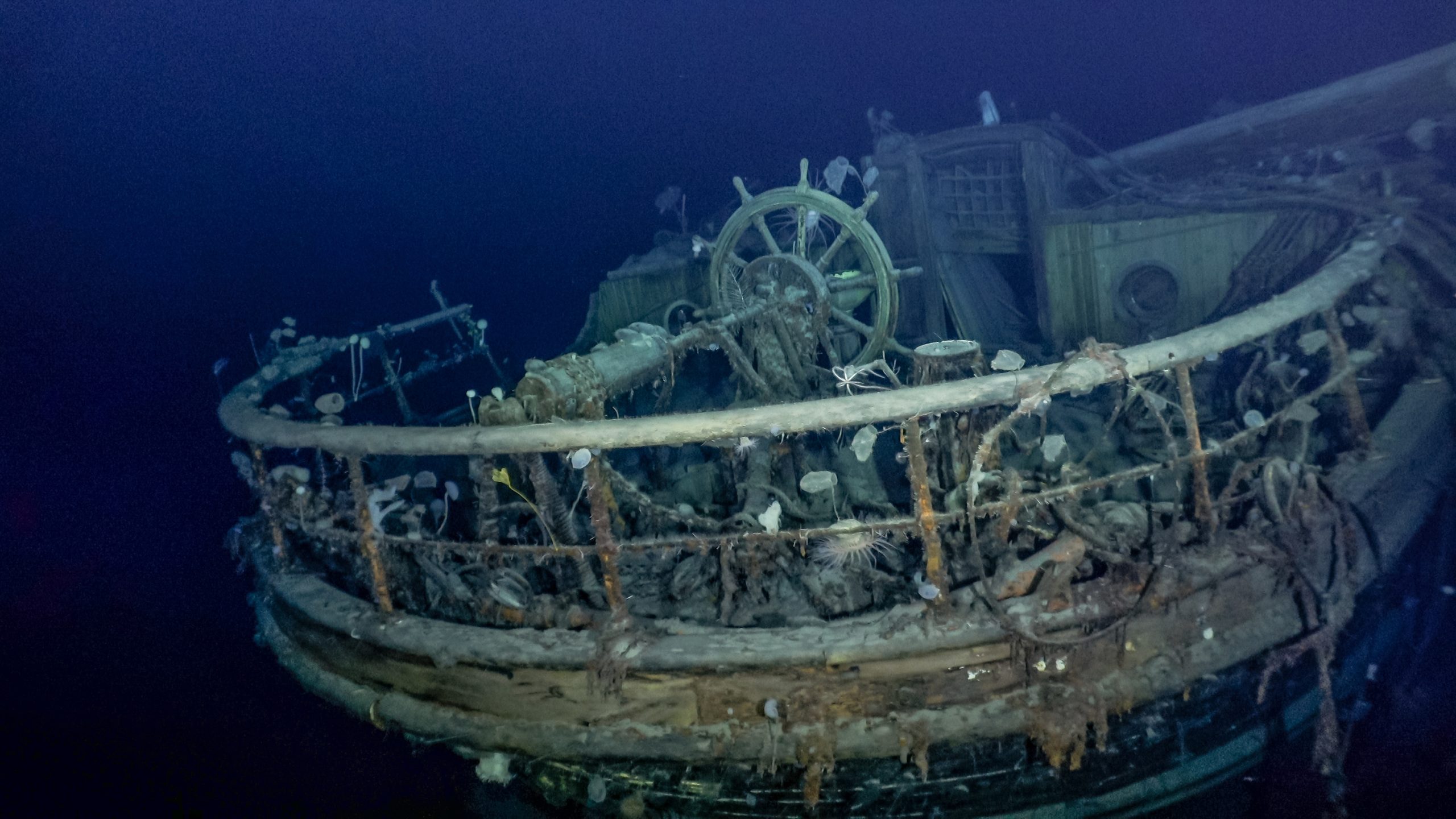 The taffrail and wheel of the Endurance underwater, as seen over a century after it sank.