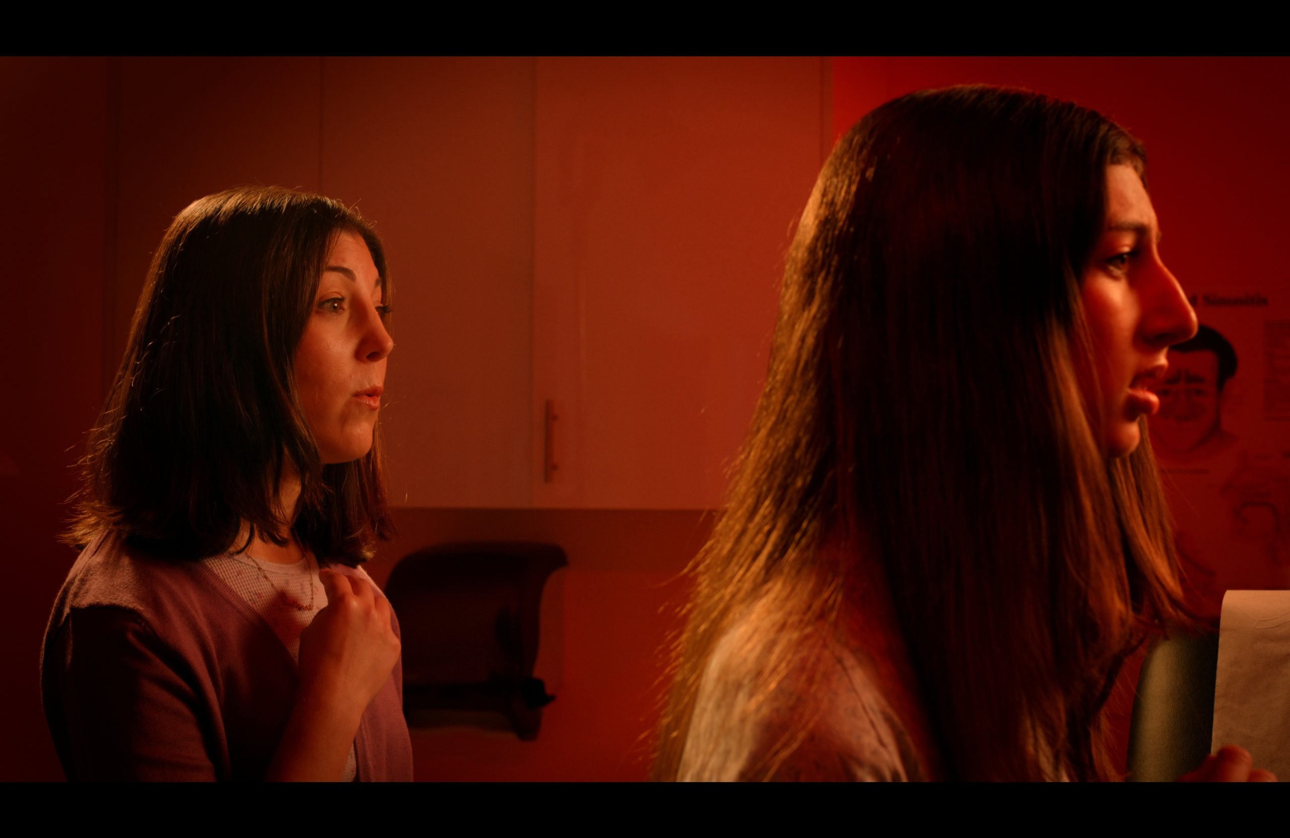 Catalogue of Noses Explores Jewish Assimilation Through Musical Comedy